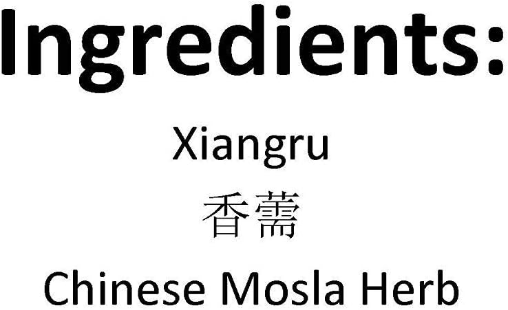 XYP Xiangru Xiang Ru 香薷 100Gram