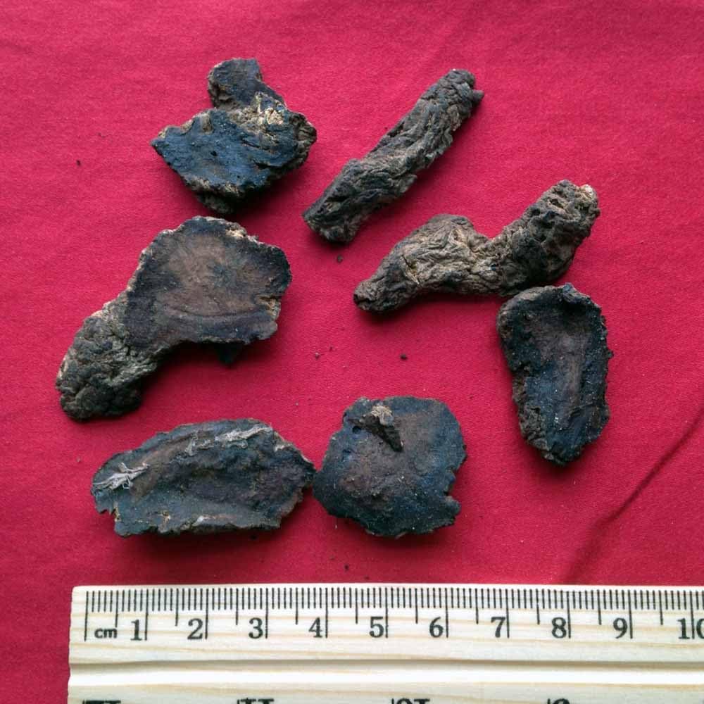 XYP Dihuang Di Huang 地黄 100Gram