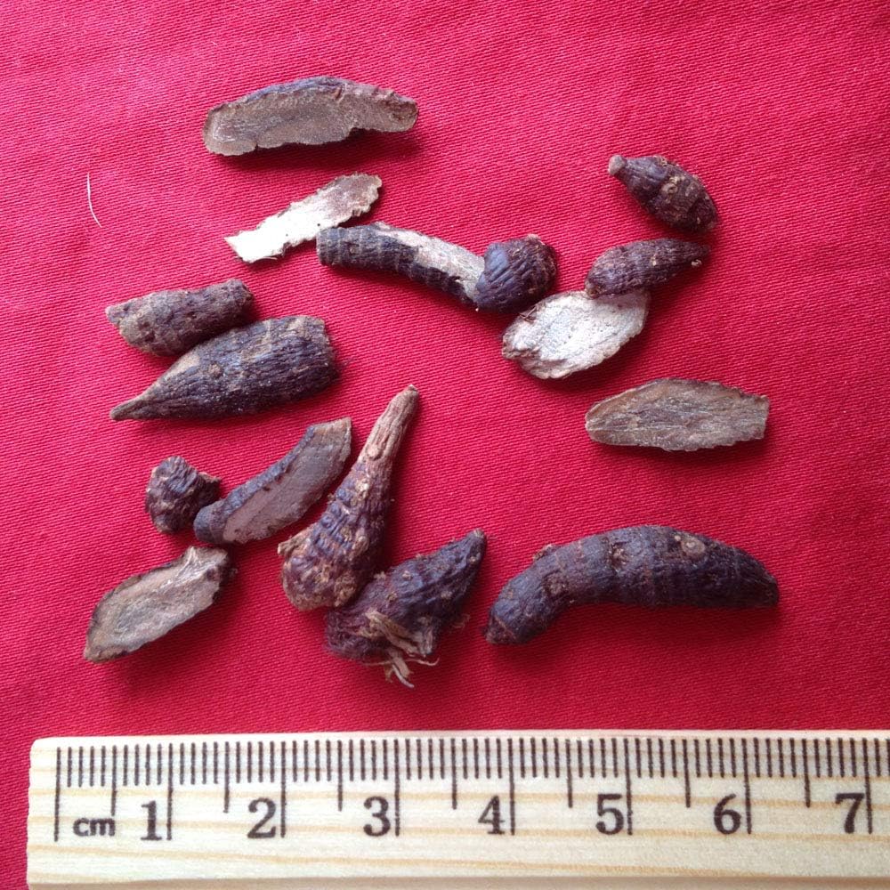 XYP Xiangfu Xiang Fu 香附 100Gram