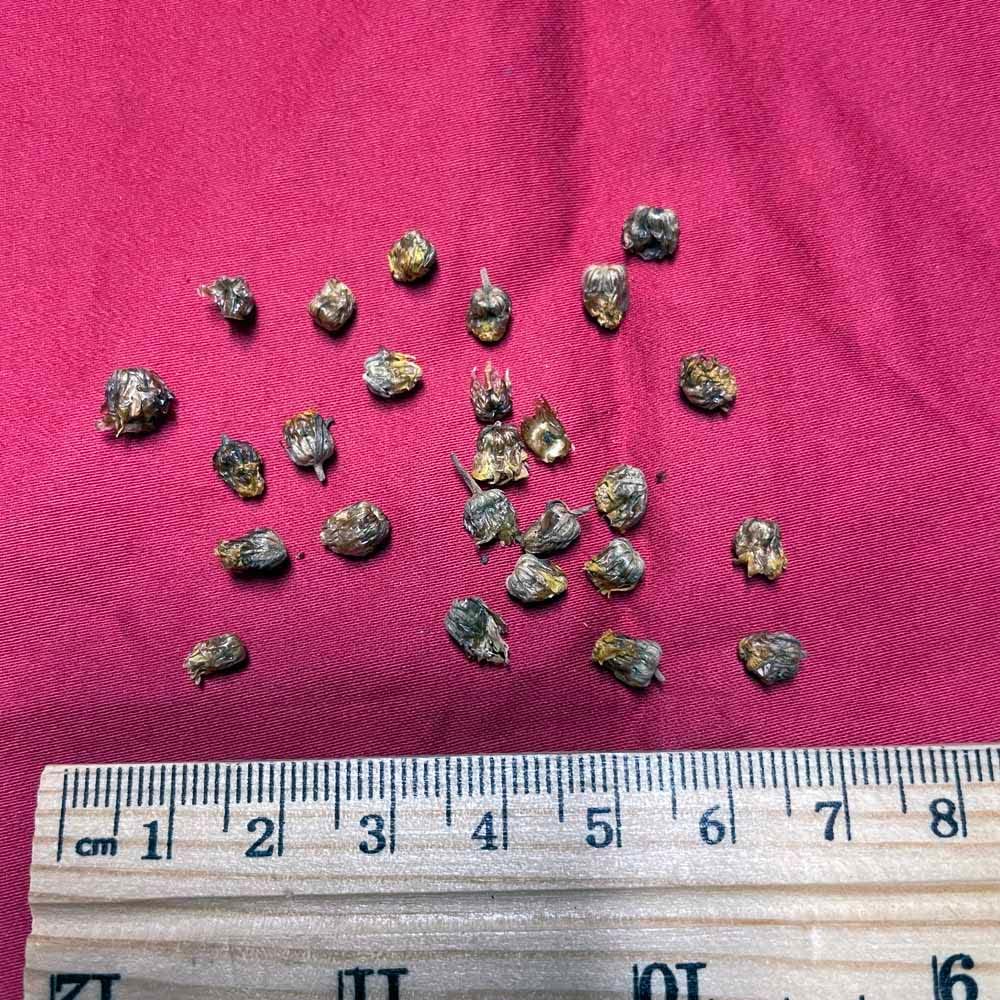 XYP Yejuhua Ye Ju Hua 野菊花 100Gram