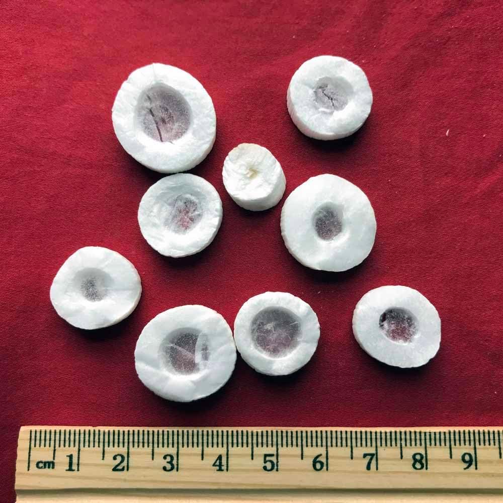 XYP Tongcao Tong Cao 通草 50Gram