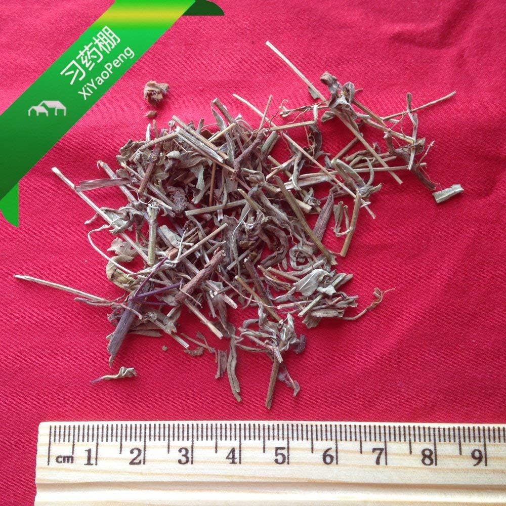 XYP Xiangru Xiang Ru 香薷 100Gram