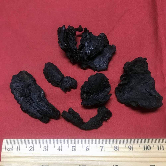 XYP Shudihuang Shu Di Huang  熟地黄 100Gram