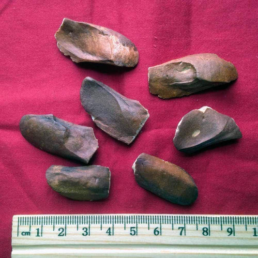 XYP Xiangtianguo Xiang Tian Guo 向天果 100Gram