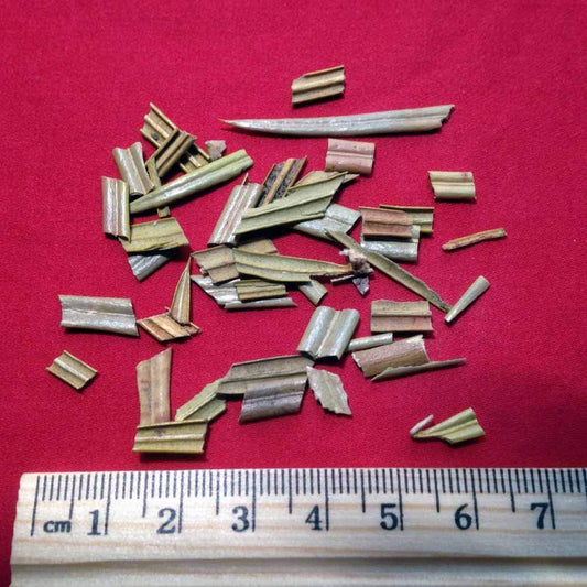 XYP Tieshuye Tie Shu Ye 铁树叶 100Gram
