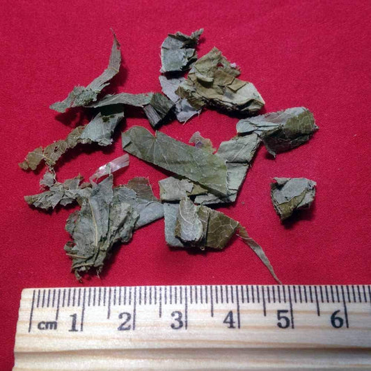 XYP Yinyanghuo Yin Yang Huo  淫羊藿 100Gram