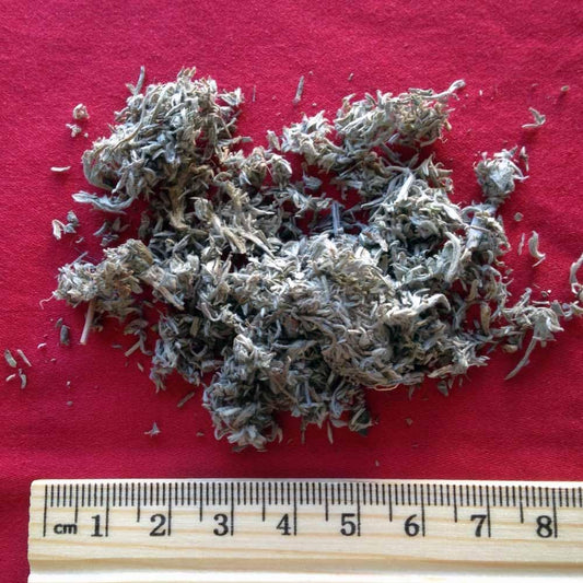 XYP Yinchen Yin Chen  茵陈 100Gram