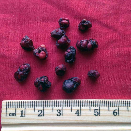 XYP Wuweizi Wu Wei Zi  五味子 100Gram