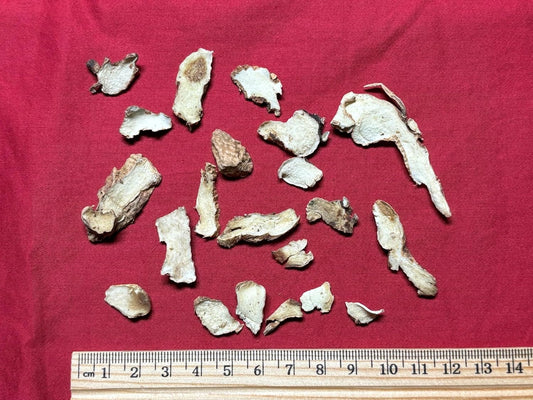 XYP Zhimu Zhi Mu  知母 100Gram